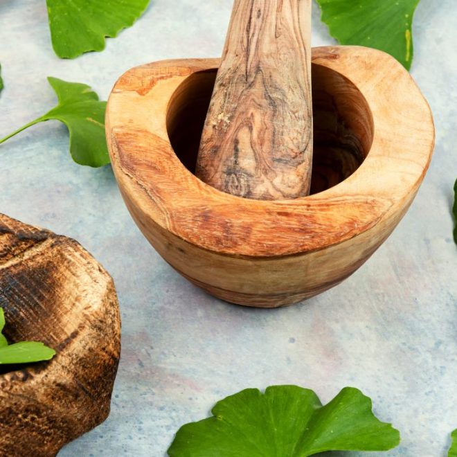 Bienfaits du Ginkgo Biloba