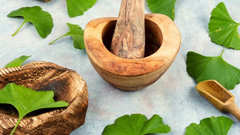 Bienfaits du Ginkgo Biloba