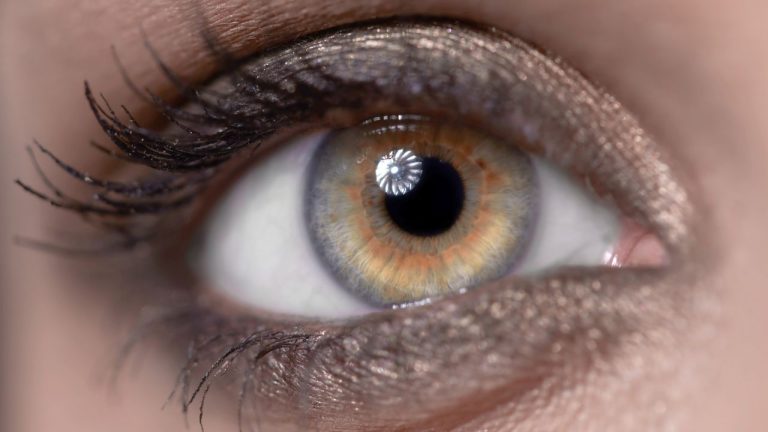 Yeux hazel : les caractéristiques de ces yeux !