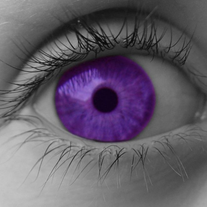 Yeux violets sans lentilles : tout savoir sur cette particularité génétique unique !