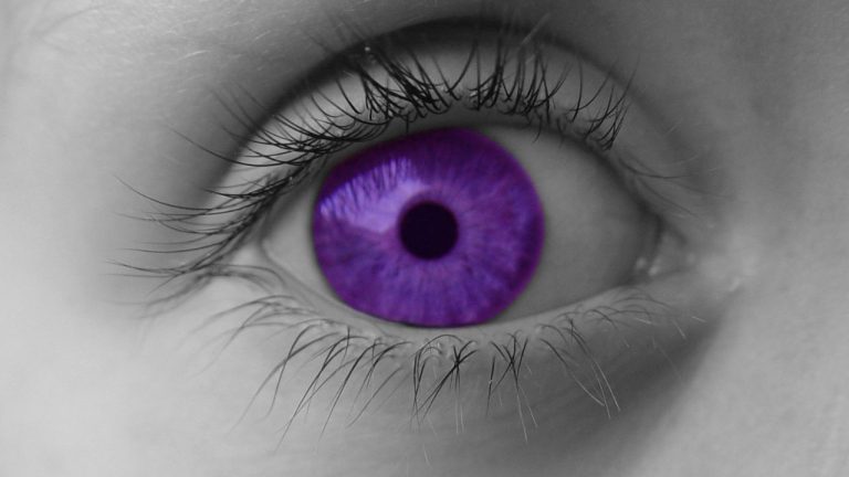 Yeux violets sans lentilles : tout savoir sur cette particularité génétique unique !