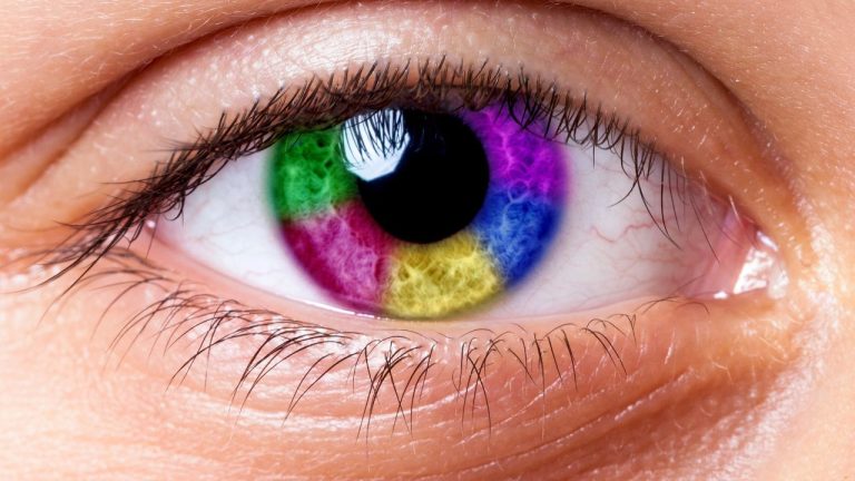 Couleur des yeux : ses origines